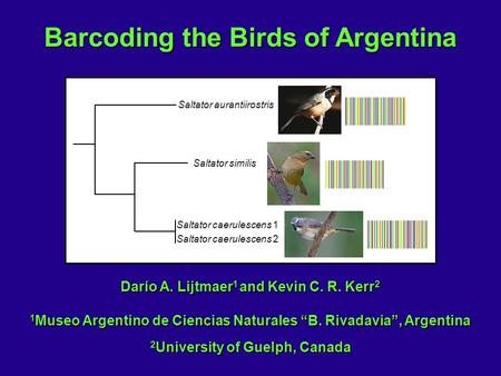 Barcoding the Birds of Argentina Darío A. Lijtmaer 1 and Kevin C. R. Kerr 2 1 Museo Argentino de Ciencias Naturales “B. Rivadavia”, Argentina 2 University.