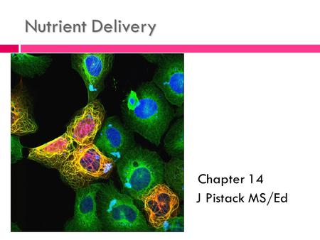 Nutrient Delivery  Chapter 14  J Pistack MS/Ed.