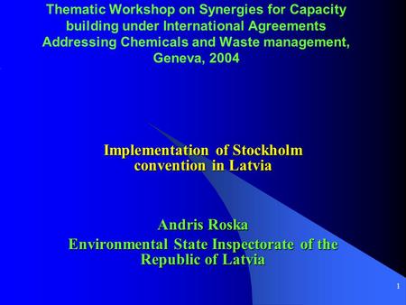 1 Thematic Workshop on Synergies for Capacity building under International Agreements Addressing Chemicals and Waste management, Geneva, 2004 Implementation.