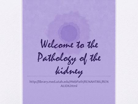 Welcome to the Pathology of the kidney  ALIDX.html.