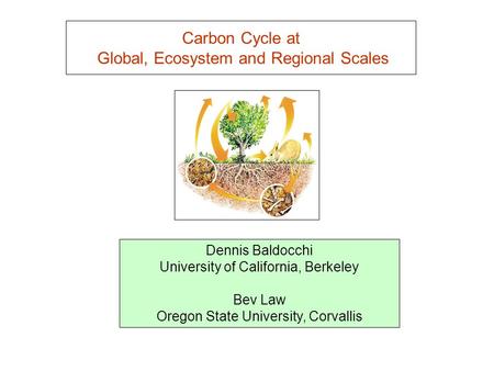 Carbon Cycle at Global, Ecosystem and Regional Scales Dennis Baldocchi University of California, Berkeley Bev Law Oregon State University, Corvallis.