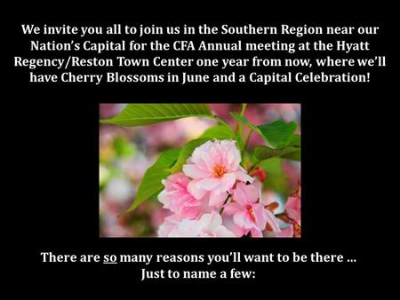 We invite you all to join us in the Southern Region near our Nation’s Capital for the CFA Annual meeting at the Hyatt Regency/Reston Town Center one year.