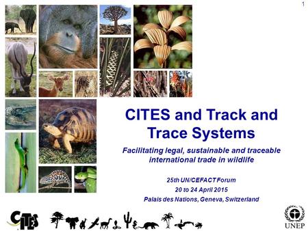 1 CITES and Track and Trace Systems Facilitating legal, sustainable and traceable international trade in wildlife 25th UN/CEFACT Forum 20 to 24 April 2015.
