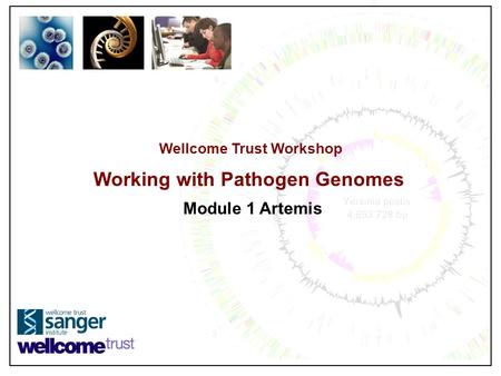Wellcome Trust Workshop Working with Pathogen Genomes Module 1 Artemis.