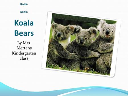 Koala Koala Koala Bears By Mrs. Mertens Kindergarten class.