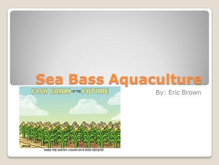 Sea Bass Aquaculture By: Eric Brown.