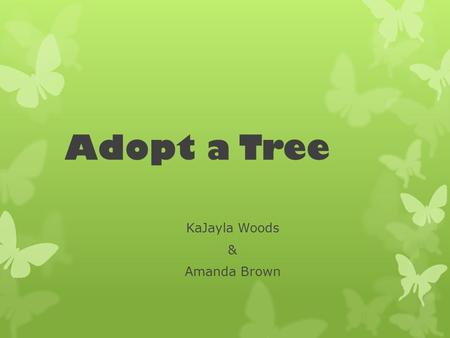 Adopt a Tree KaJayla Woods & Amanda Brown. Common Name: Black Cherry Scientific Name : Prunus Serotina.