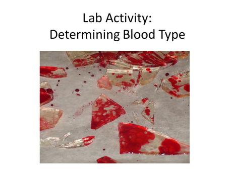 Lab Activity: Determining Blood Type. Crime report At 1:00 am on November 2, 2014, a thief breaks a window in the back of a restaurant and robs the safe.