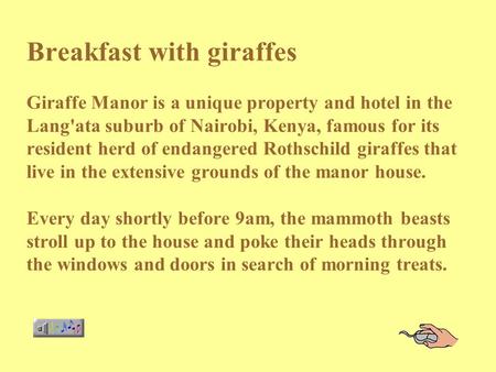 Breakfast with giraffes Giraffe Manor is a unique property and hotel in the Lang'ata suburb of Nairobi, Kenya, famous for its resident herd of endangered.
