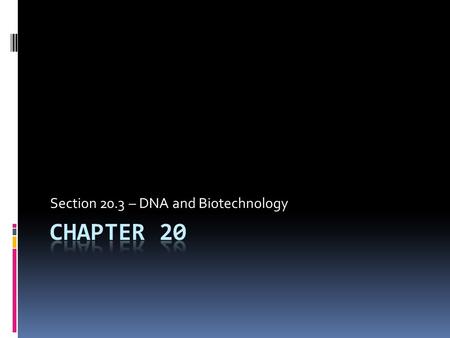 Section 20.3 – DNA and Biotechnology. DNA and Biotechnology  Carpenters require tools such as hammers, screwdrivers, and saws, and surgeons require scalpels,