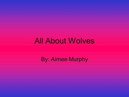 All About Wolves By: Aimee Murphy. Most misunderstood animal Myths about wolves are not true People think wolves eat people. Wrong not true that’s fake.