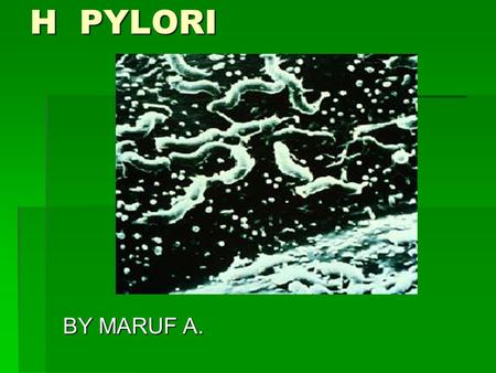 H PYLORI BY MARUF A.. Historical Background  1982 - Marshall and Warren identified and subsequently cultured the gastric bacterium, Campylobacter pyloridis,