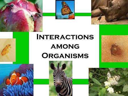 Interactions among Organisms