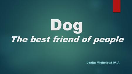 Dog The best friend of people Lenka Michelová IV. A.