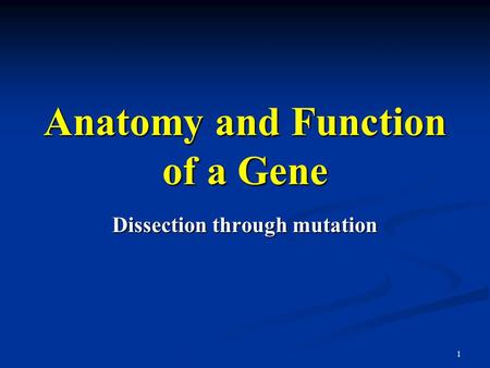 Anatomy and Function of a Gene