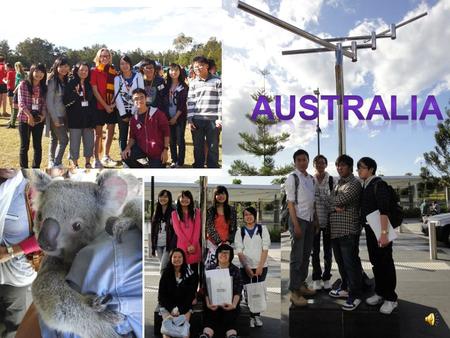 Reasons for joining the tour Gold Coast Homestay Know more about Australian culture.