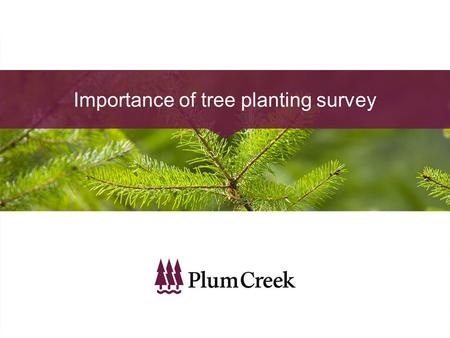 Importance of tree planting survey. Where the discussion began.