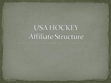 Michigan Amateur Hockey Association Minnkota Mid AmOther Affiliates USA Hockey.