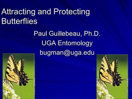 Attracting and Protecting Butterflies Paul Guillebeau, Ph.D. UGA Entomology