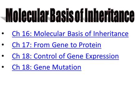 Ch 16: Molecular Basis of Inheritance Ch 17: From Gene to Protein Ch 18: Control of Gene Expression Ch 18: Gene Mutation.