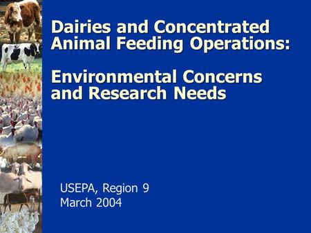 Dairies and Concentrated Animal Feeding Operations: Environmental Concerns and Research Needs USEPA, Region 9 March 2004.