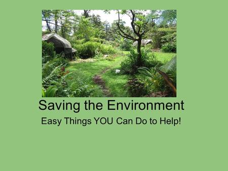 Saving the Environment Easy Things YOU Can Do to Help!