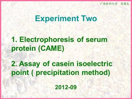 Experiment Two 1. Electrophoresis of serum protein (CAME) 2. Assay of casein isoelectric point ( precipitation method) 2012-09.