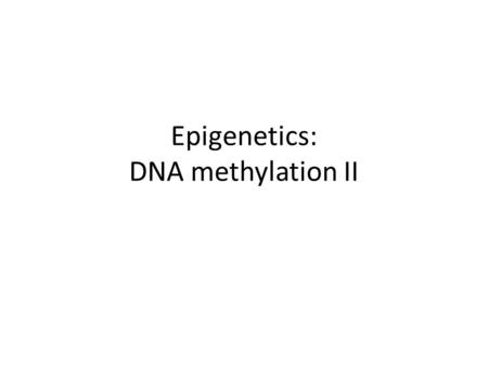 Epigenetics: DNA methylation II