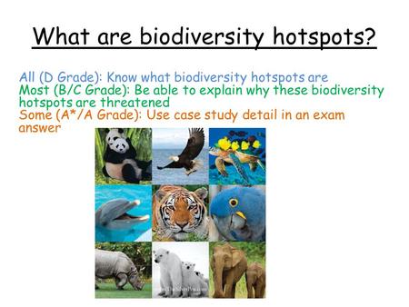What are biodiversity hotspots?