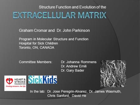 Structure Function and Evolution of the Graham Cromar and Dr. John Parkinson Program in Molecular Structure and Function Hospital for Sick Children Toronto,