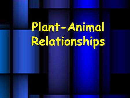 Plant-Animal Relationships. Herbivores Grazers – eat grasses and pasture plants. Sheeps and cows Browsers – eat leaves of trees and shrubs. Giraffes Sap-suckers.