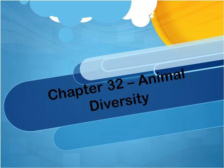 Chapter 32 – Animal Diversity