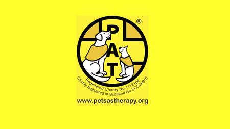 What is Pets As Therapy? Began in 1983 with a single German Shepherd dog Now largest companion animal visiting service in Europe Approximately 4,500 registered.