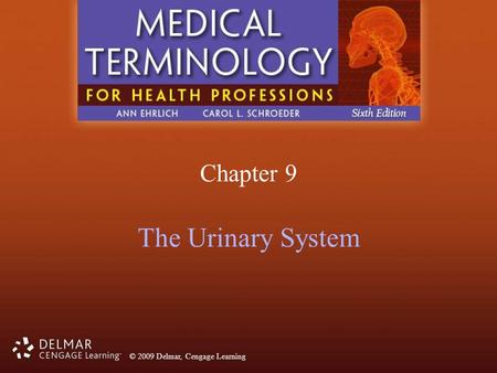 Chapter 9 The Urinary System.