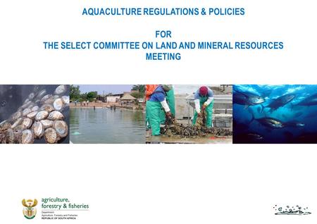 PRESENTATION OUTLINE History of marine and freshwater aquaculture regulation in South Africa Current regulatory environment for aquaculture in South Africa.