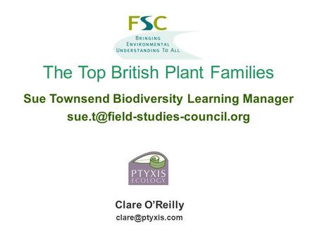 The Top British Plant Families