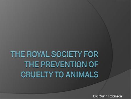 By: Quinn Robinson. Introduction to the RSPCA  One of the largest charities in the UK  Known as being the first animal welfare charity  Has hundreds.