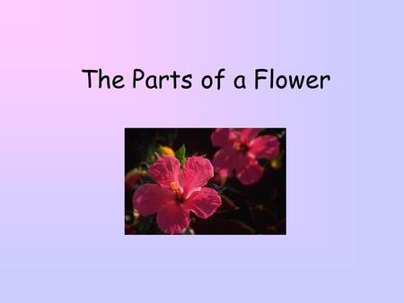 The Parts of a Flower.
