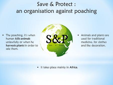 Save & Protect : an organisation against poaching  The poaching, it’s when human kills animals unlawfully or when he harvests plants in order to sale.