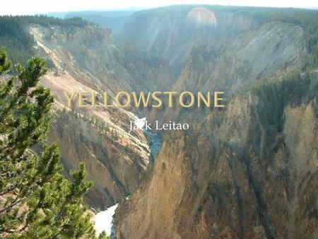 Jack Leitao. What year was Yellowstone established Yellowstone was established by an act of Congress and the signing into law by President Ulysses S.