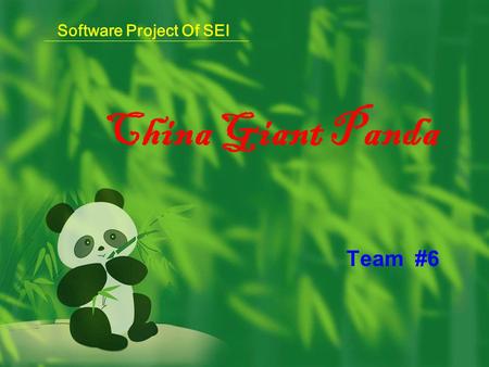 China Giant Panda Team #6 Software Project Of SEI.