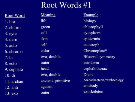 Root Words #1 Root Word 1. bio 2. chloro 3. cyte 4. derm 5. auto 6. chromo 7. bi 8. ecto 9. cephalo 10. di 11. archae 12. anti 13. exo Meaning life green.