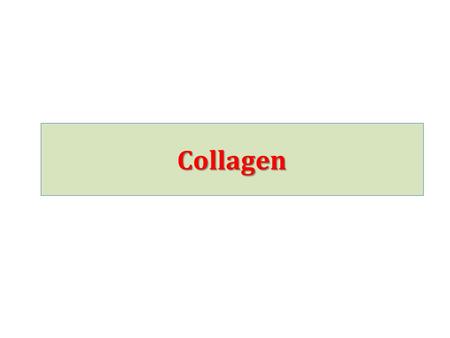 Collagen.