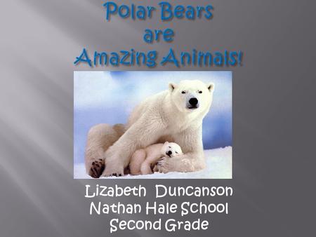 Lizabeth Duncanson Nathan Hale School Second Grade.