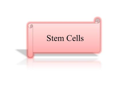 Stem cells are relatively ‘unspecialized’ cells that have the unique potential to develop into ‘specialized’ cell types in the body (for example, blood.