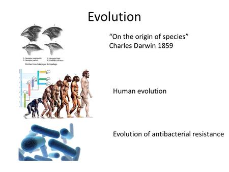 Evolution “On the origin of species” Charles Darwin 1859 Human evolution Evolution of antibacterial resistance.