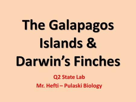 The Galapagos Islands & Darwin’s Finches Q2 State Lab Mr. Hefti – Pulaski Biology.