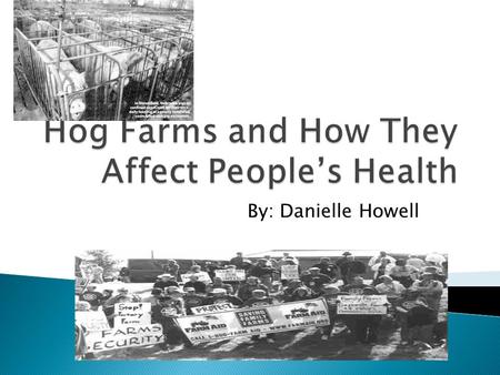 By: Danielle Howell.     This is a video about how hog farms work.