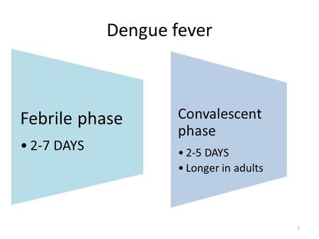Dengue fever Febrile phase 2-7 DAYS Convalescent phase 2-5 DAYS Longer in adults 1.