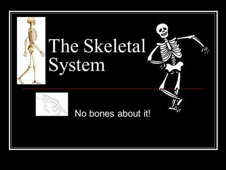The Skeletal System No bones about it!.